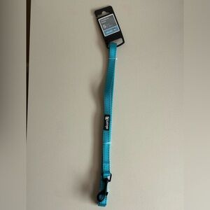 Alcott Turquoise Wanderer Reflective Leash